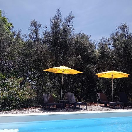 2 Pieces "Le Brin De Soleil" Gites Appart 'Hotel L'Echappee Belle D'Aubenas Logement 1 Sur 3 Esterno foto
